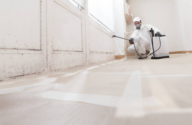 24/7 Emergency Commercial Mold Remediation experts in Suffolk, VA